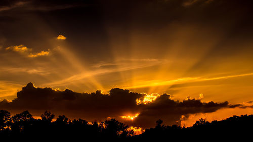 Silhouette of trees against cloudy sky at sunrise