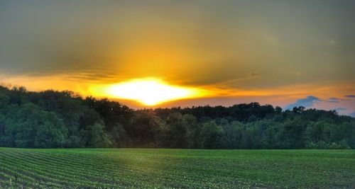 Scenic view of field against sky during sunset