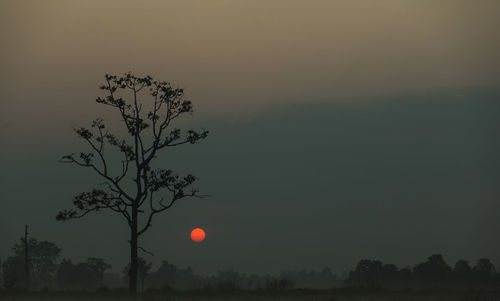 Silhouette tree against sky during sunset