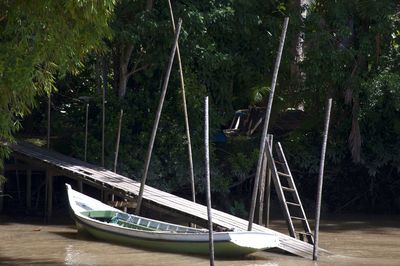 Sailboat moored in water by trees