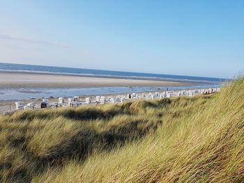 Scenic view of beach against clear sky