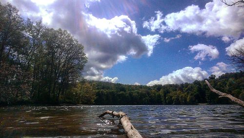 Scenic view of lake in forest against sky