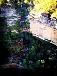 High angle view of river amidst trees in forest