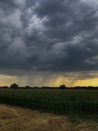 Scenic view of agricultural field against sky