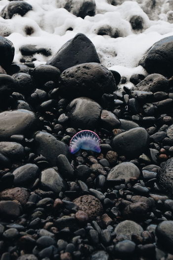 CLOSE-UP OF STONES ON PEBBLES AT BEACH