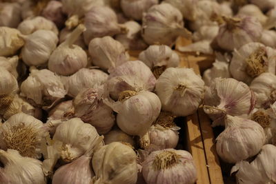 Full frame shot of onions for sale in market