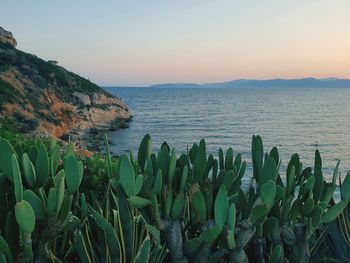 Scenic view of sea against sky during sunset