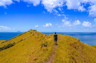 Rear view of man walking on grassy cliff against sea