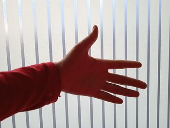 Close-up of hand against wall