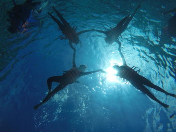 People swimming in pool