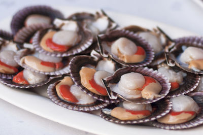 High angle view of shells in plate