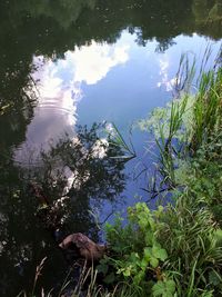 High angle view of a lake