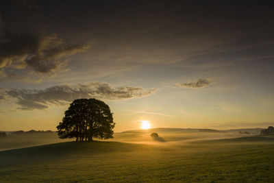 Scenic view of field against sky during sunset