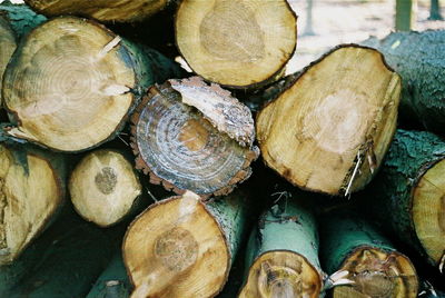 Stack of logs