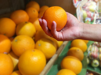 Cropped image of hand holding fruits at market