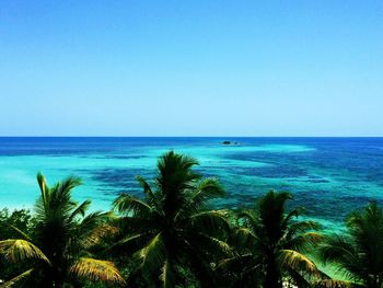 Scenic view of sea against clear blue sky