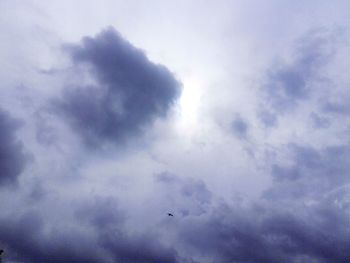 Low angle view of bird flying against sky