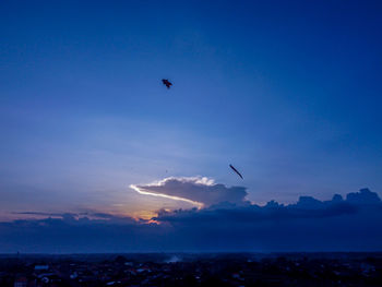 Bird flying over sea against blue sky