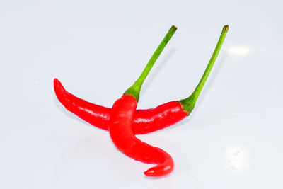 Close-up of red chili pepper against white background