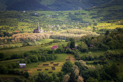 Scenic view of agricultural field by houses and trees