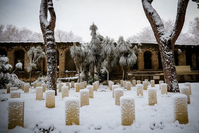 View of cemetery