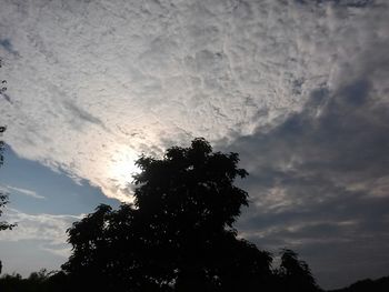 Low angle view of silhouette trees against cloudy sky