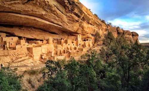 Trees by cliff palace against sky