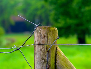 Close-up of barbed wire fence on field