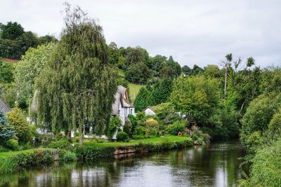 Riverside view with thatched cottage on riverbank