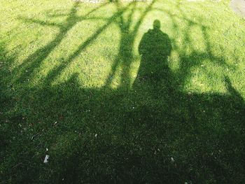 Close-up of sunlight on golf course