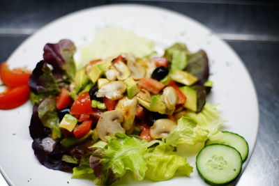 Close-up of meal served in plate