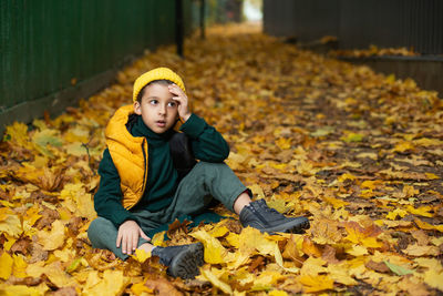 Portrait of a fashionable child boy autumn sitting on a trail in orange leaves in the afternoon