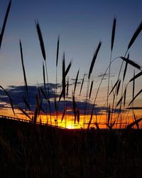 Scenic view of landscape against sky at sunset