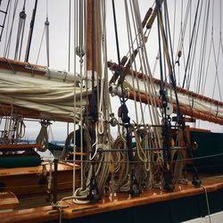 Sailboats sailing on sea against sky