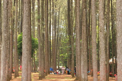 People walking in forest