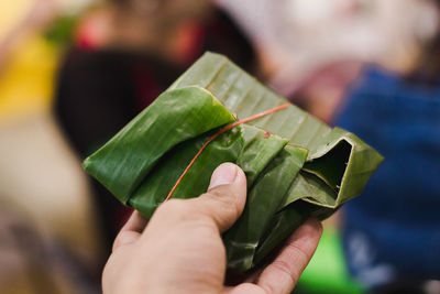 Close-up of hand holding leaves