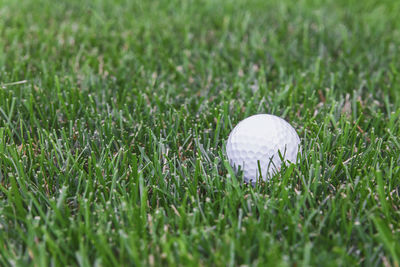 Golf ball on grass