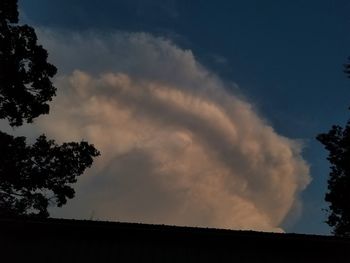 Low angle view of silhouette trees against sky