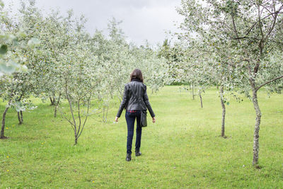 Rear view of young woman