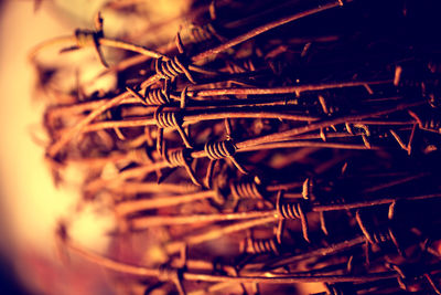 Detail shot of cropped barbed wire