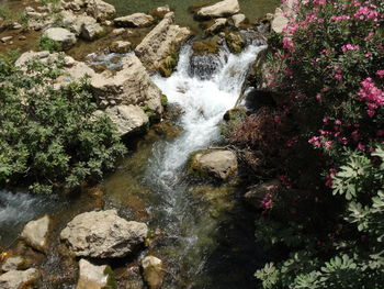 Scenic view of waterfall