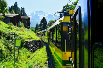 Train by trees against sky