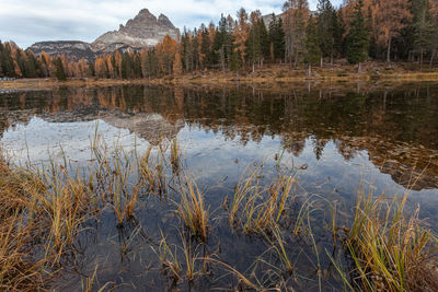 Scenic view of lake in forest during autumn