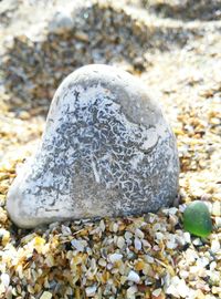 Close-up of pebbles on rocks