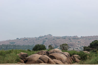 Scenic view of landscape against clear sky