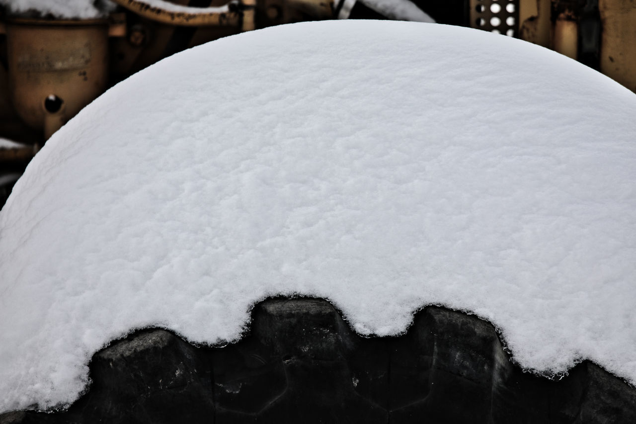 CLOSE-UP OF SNOW COVERED BREAD