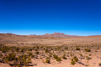 Scenic view of desert against clear blue sky