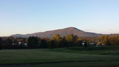 Scenic view of landscape against clear sky