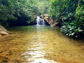 Scenic view of waterfall in forest