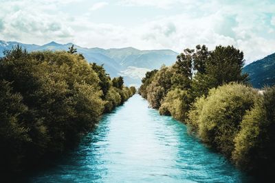 Scenic view of flowing amidst trees against sky